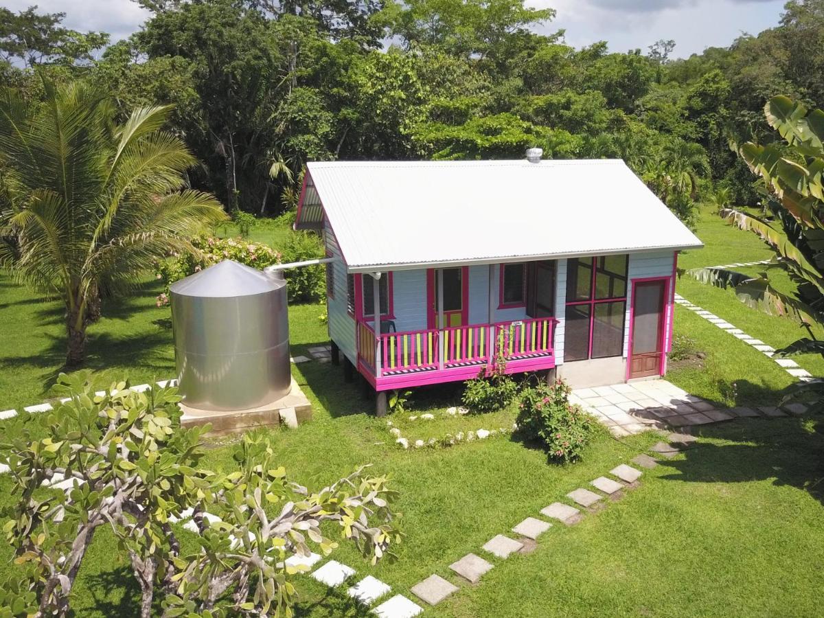 Lower Dover Jungle Lodge & Maya Ruins Unitedville Eksteriør billede