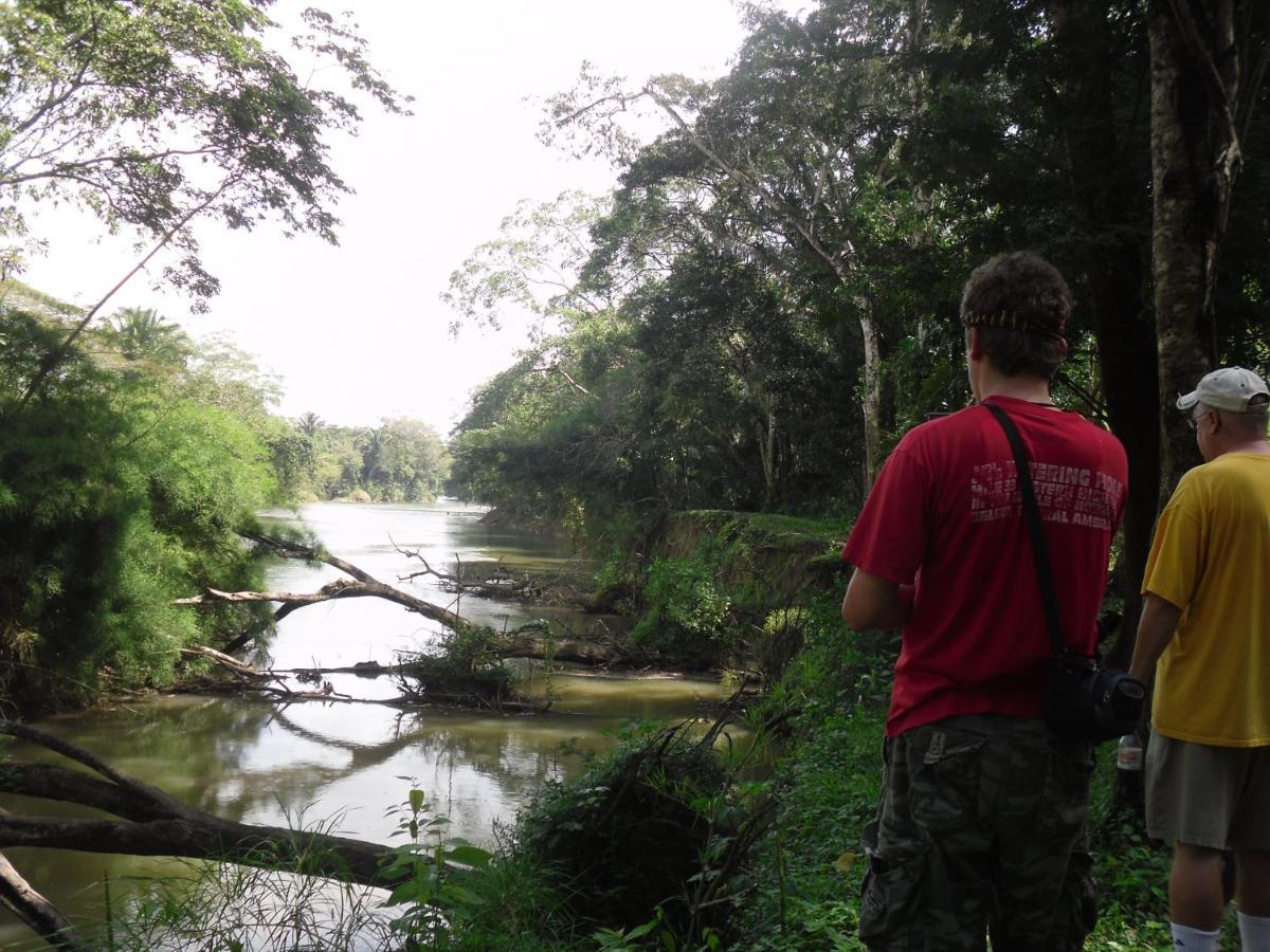 Lower Dover Jungle Lodge & Maya Ruins Unitedville Eksteriør billede