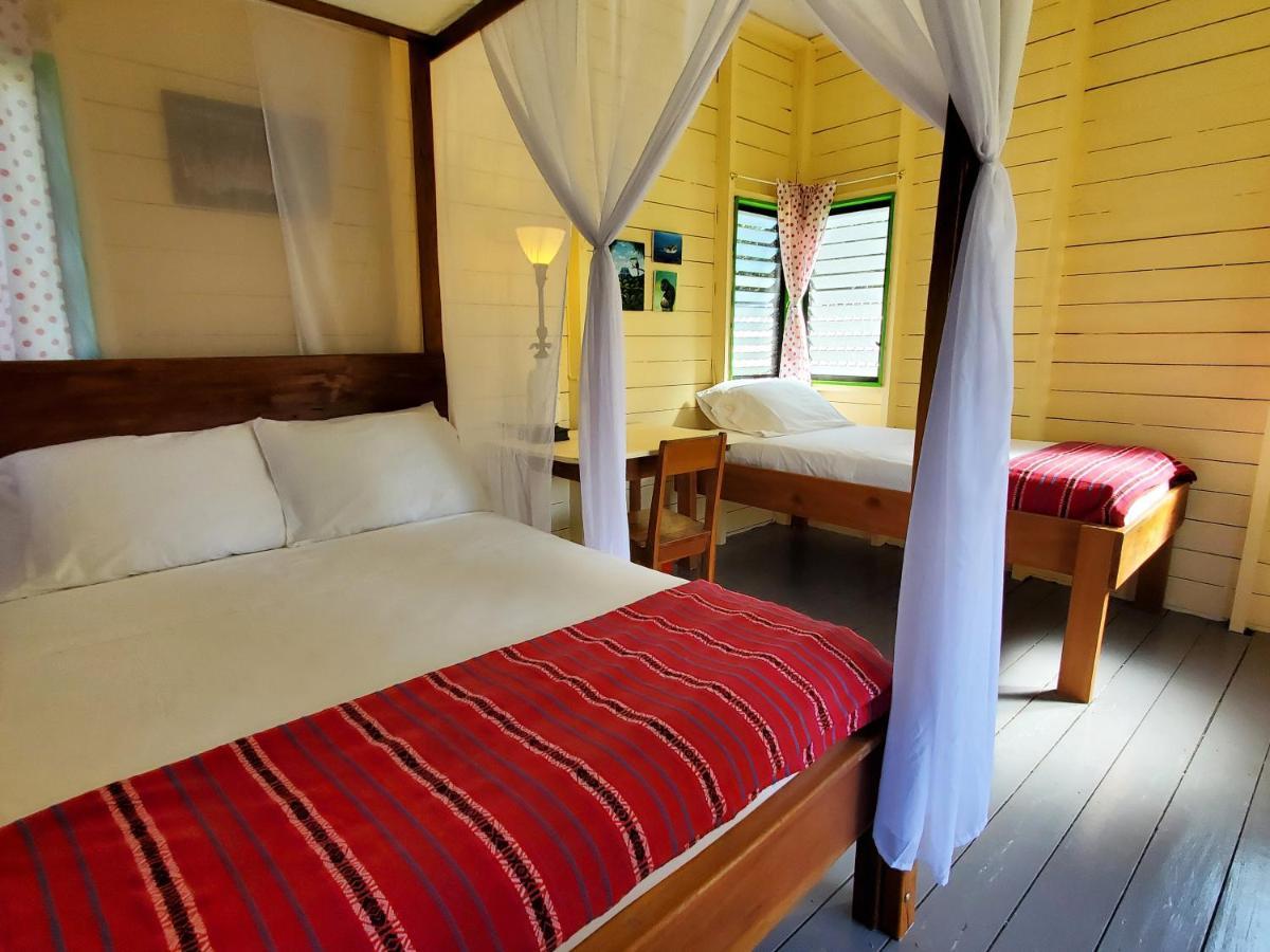 Lower Dover Jungle Lodge & Maya Ruins Unitedville Eksteriør billede
