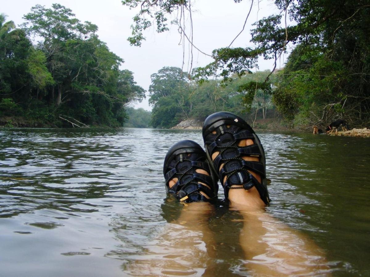 Lower Dover Jungle Lodge & Maya Ruins Unitedville Eksteriør billede