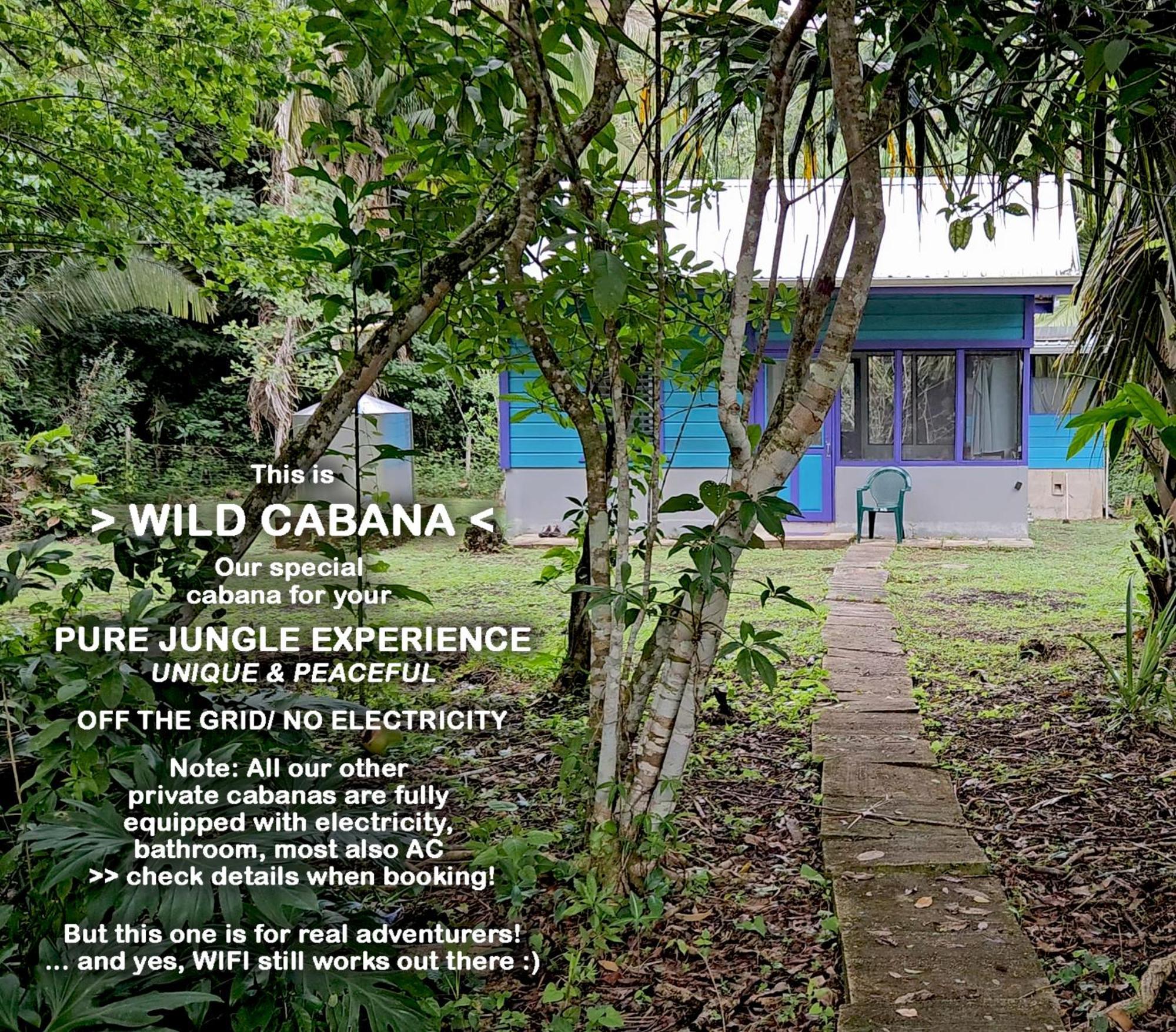 Lower Dover Jungle Lodge & Maya Ruins Unitedville Værelse billede