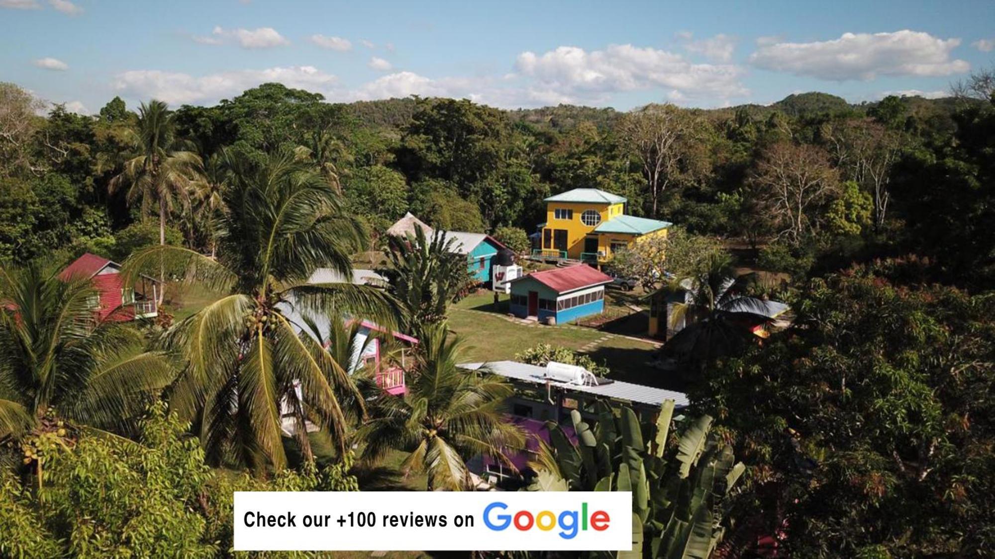 Lower Dover Jungle Lodge & Maya Ruins Unitedville Eksteriør billede