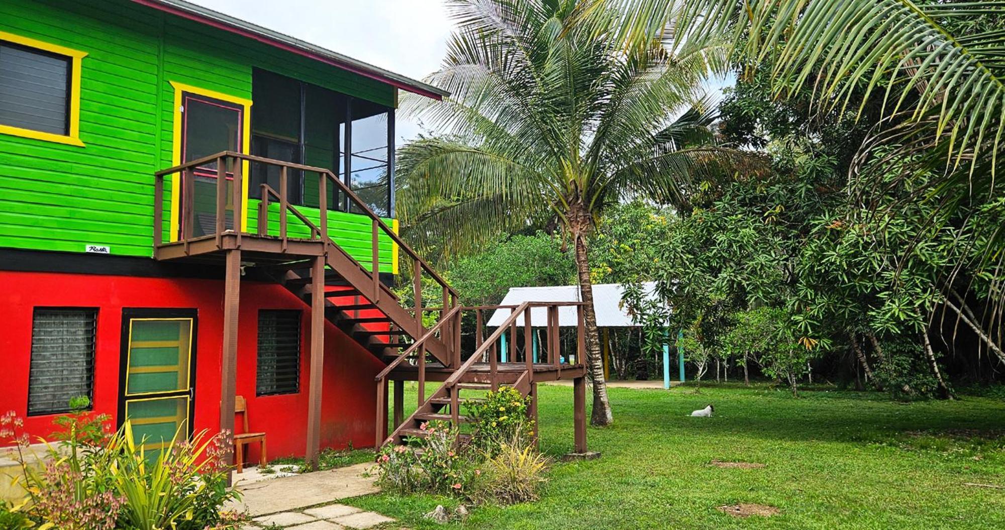 Lower Dover Jungle Lodge & Maya Ruins Unitedville Værelse billede