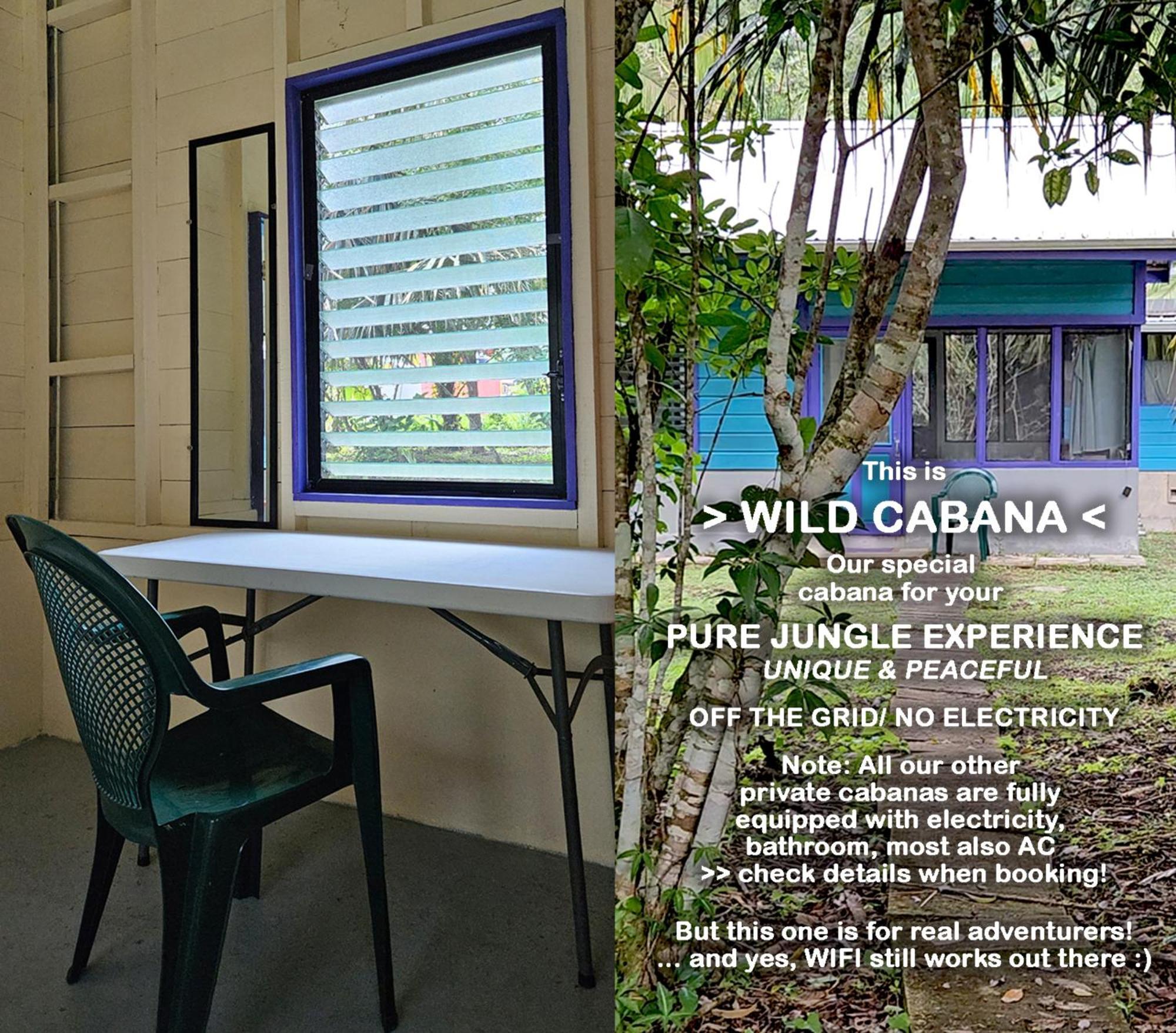 Lower Dover Jungle Lodge & Maya Ruins Unitedville Værelse billede