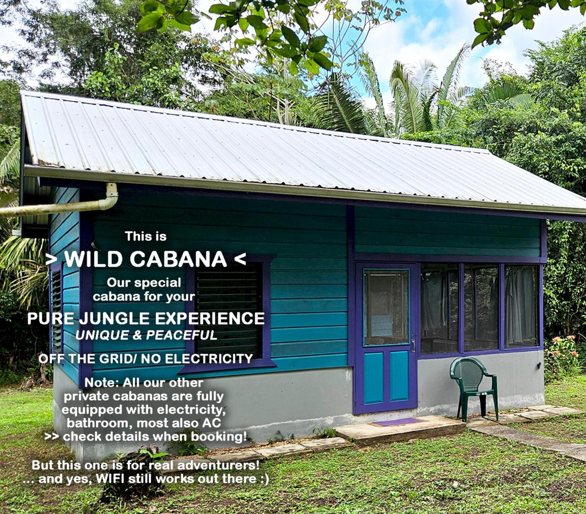 Lower Dover Jungle Lodge & Maya Ruins Unitedville Værelse billede