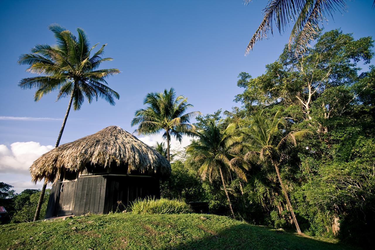 Lower Dover Jungle Lodge & Maya Ruins Unitedville Eksteriør billede