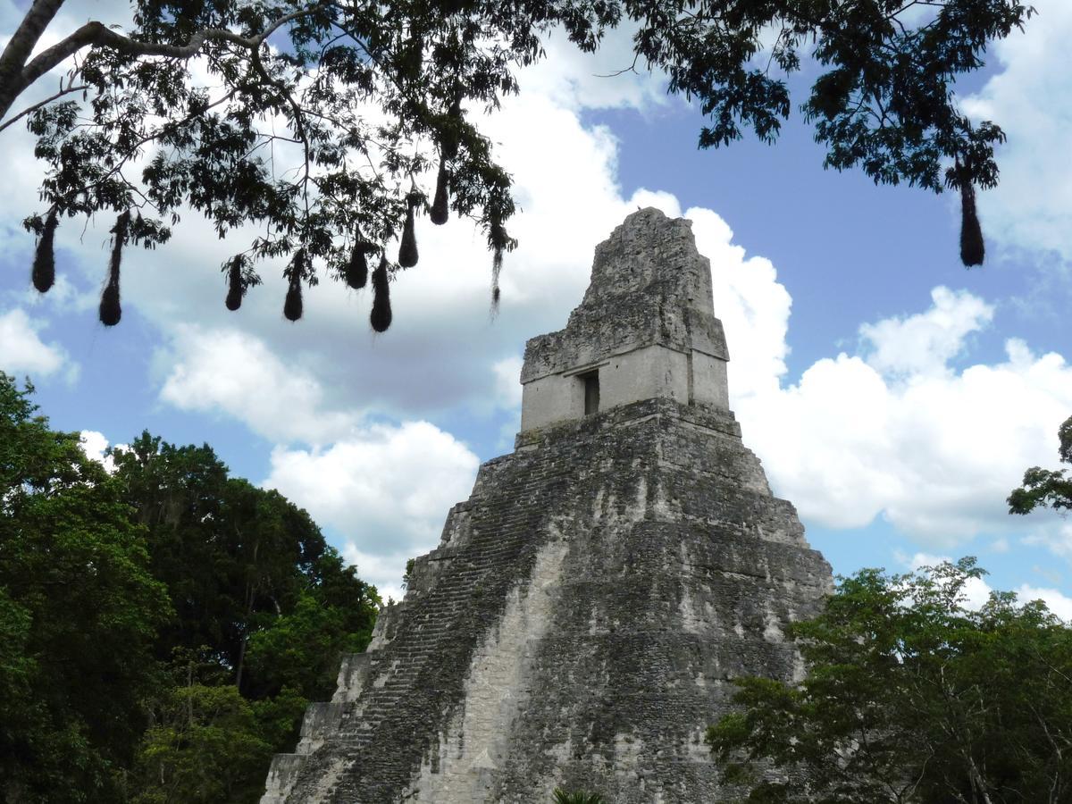 Lower Dover Jungle Lodge & Maya Ruins Unitedville Eksteriør billede