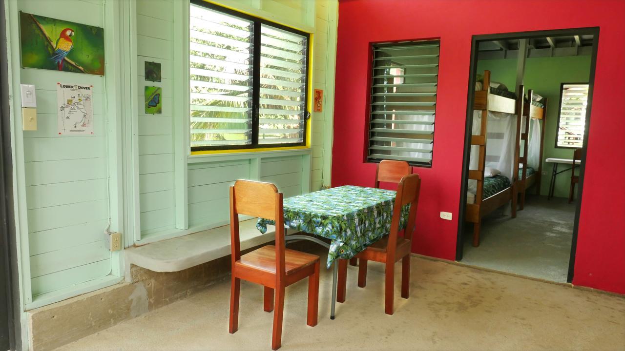 Lower Dover Jungle Lodge & Maya Ruins Unitedville Eksteriør billede
